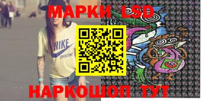 шишки Берёзовский