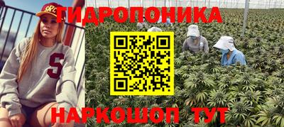 шишки Берёзовский