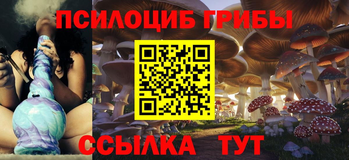 Галлюциногенные грибы Cubensis  Вход с VPN  Великий Новгород 